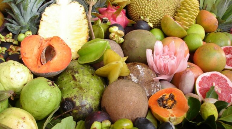 fruits and vegetables