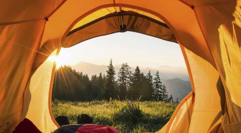 Tips For Camping With A Large Group Camping