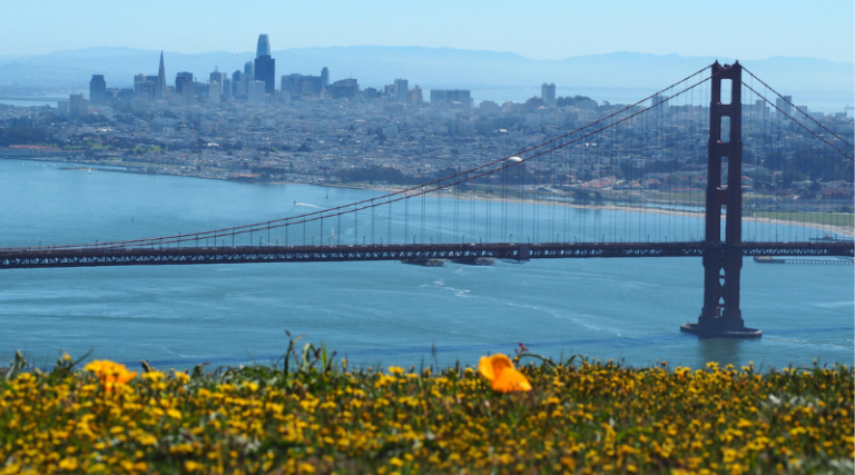 Reasons You Should Visit San Francisco Once In Your Lifetime Reasons You Should Visit San Francisco Once In Your Lifetime