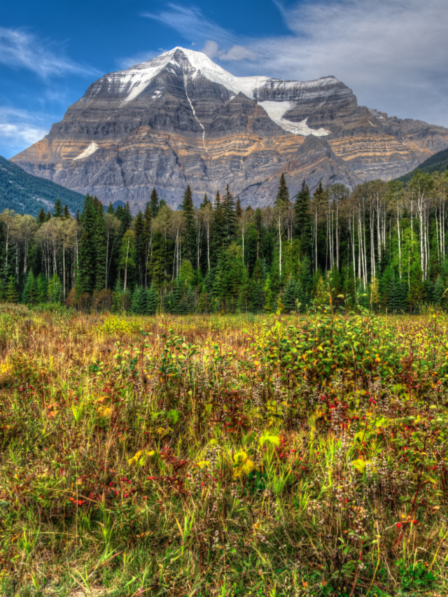 Tips for Planning the Perfect Trip to Jasper National Park